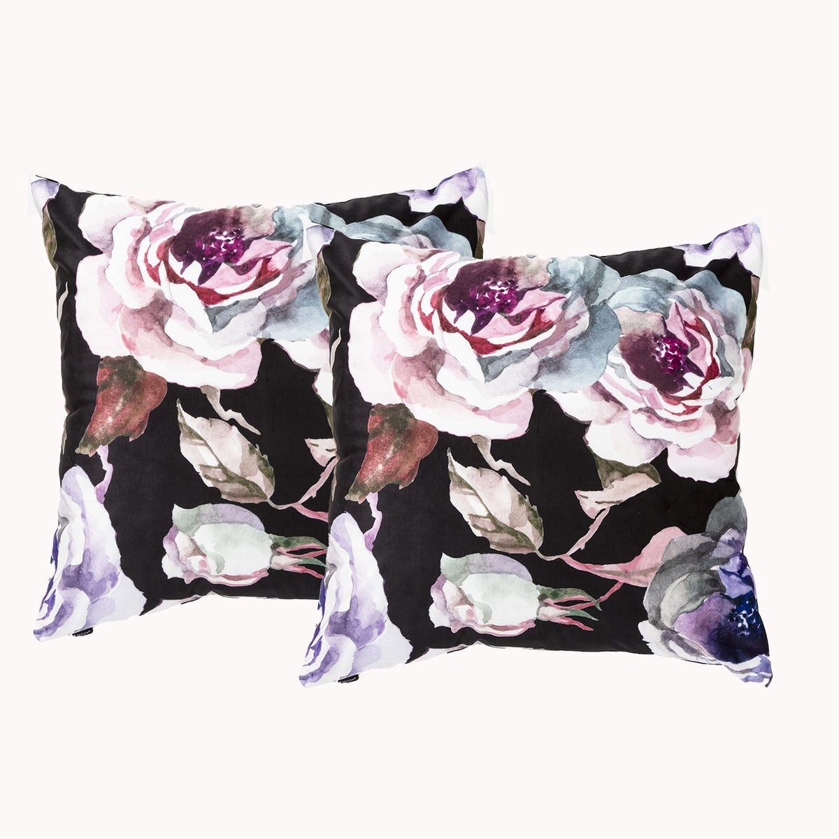 Toffee Twin Pack Poly Velvet Printed Cushion by Renee Taylor main image 0