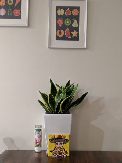 Colores/Color/Colour & Interior Design.